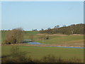 Flooded fields