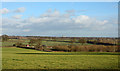 Field near to Askham Bryan