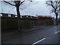 Cemetery Street View