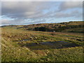 A View Across Stobs Camp