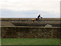 TQ6575 : Cyclist on the sea wall by Stephen Craven