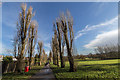 TQ3095 : Oakwood Park, Poplar Tree Avenue, London N14 by Christine Matthews