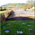 Pandy Village Hall