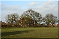 Field with Grange Farm beyond