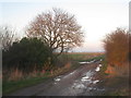 Track off Fen Lane, South Somercotes