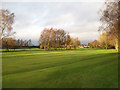 Golf course with birch trees