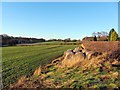 Fields south of Hexham Road, Heddon on the Wall