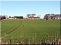 Callerton Lane End, Stamfordham Road