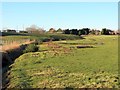 Dewley Burn near Burnside Farm