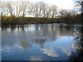 Gerrards Cross: Flooded pit near Bulstrode Park (2)