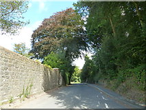 SY4894 : Looking north-east along Village Road by Basher Eyre