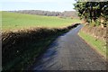 Country road at Brinsop