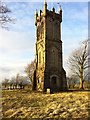 NS4029 : Barnweil Hill Wallace Monument by Stephen clark