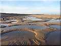 NT6579 : Coastal East Lothian : Belhaven Sands, 25th November 2013 by Richard West