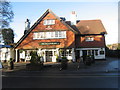 The Fox and Pelican, Grayshott