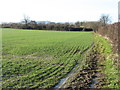 Farmland near Stanton