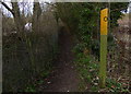 Footpath to Burton Overy