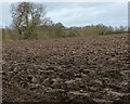 SP6697 : Ploughed field near Great Glen by Mat Fascione