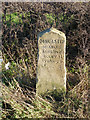 Milestone on the A19 near Haigh End - detail