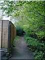 Path behind Waggoners Estate, Grayshott