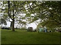 Grayshott Allotments