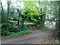 Footpath in Grayshott