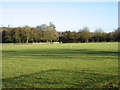 The field at Bredon Cricket Club