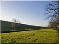 Reservoir bank, Queen Mary Reservoir