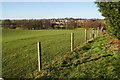 Halesworth from Osborne Cottages