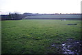 Fields south of Brook Hall Farm