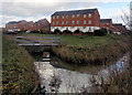 Combined sluice and footbridge across a reen, Duffryn, Newport