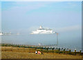 TV6198 : Eastbourne Pier in sea fret by Andrew Diack