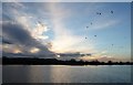 SP9113 : Evening view across Startopsend Reservoir by Rob Farrow