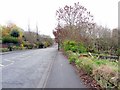 Walbottle Road, near Dene Terrace