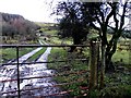 Gate and lane, Coolavannagh