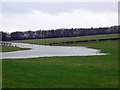 Flooded field