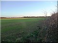 Farmland west of Hill Top Farm