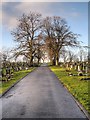 Path in Radcliffe Cemetery