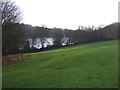 Roundhay Park