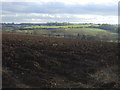 Ploughed field near Collingham