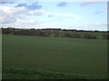 Farmland towards the River Nidd