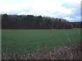 Farmland towards Great Wood