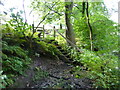 Ladder and stile near Woodseats