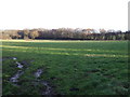 Farmland, Scarcroft Hill