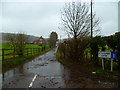 Looking into Kitcombe Lane