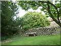 St Peter, Stourton Caundle: churchyard (5)