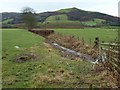 Full ditch near Aberhafesp