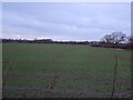 Farmland north of Moor Lane