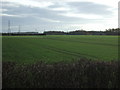 Farmland, Deighton Grange