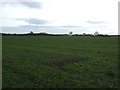 Farmland south of York Road